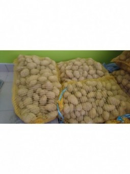 POMME DE TERRE NORMANDELINE...