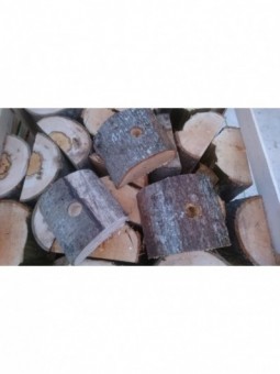 Pied de sapin "bûche"