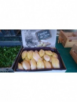 ENDIVES DE TERRE  PAR 2 kg