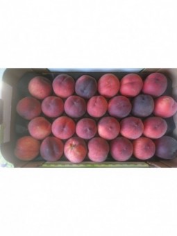 Pêches blanches (les 500g)