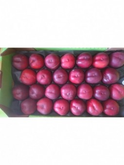 Nectarines Blanches (les...