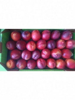 Nectarines jaunes (les 500 g)