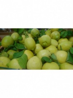 Citrons du portugal (les...