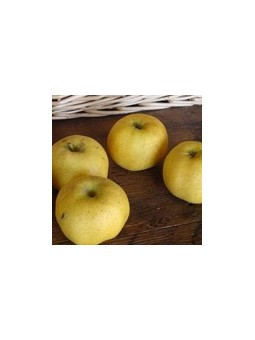 pomme belchard chanteclerc