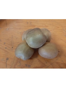 Kiwi Jaune le lot de 5